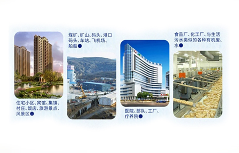 1617671011134290.jpg 80058322122582548.jpg