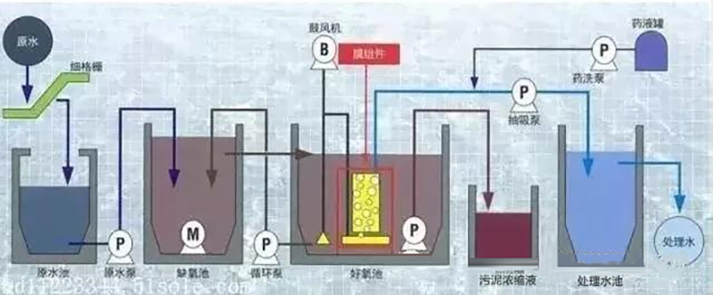 1617672448196473.jpg 15955466737900892.jpg