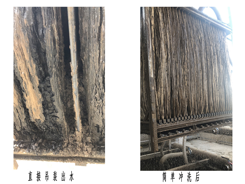 1632473835175384.jpg 污堵膜片对比图.jpg