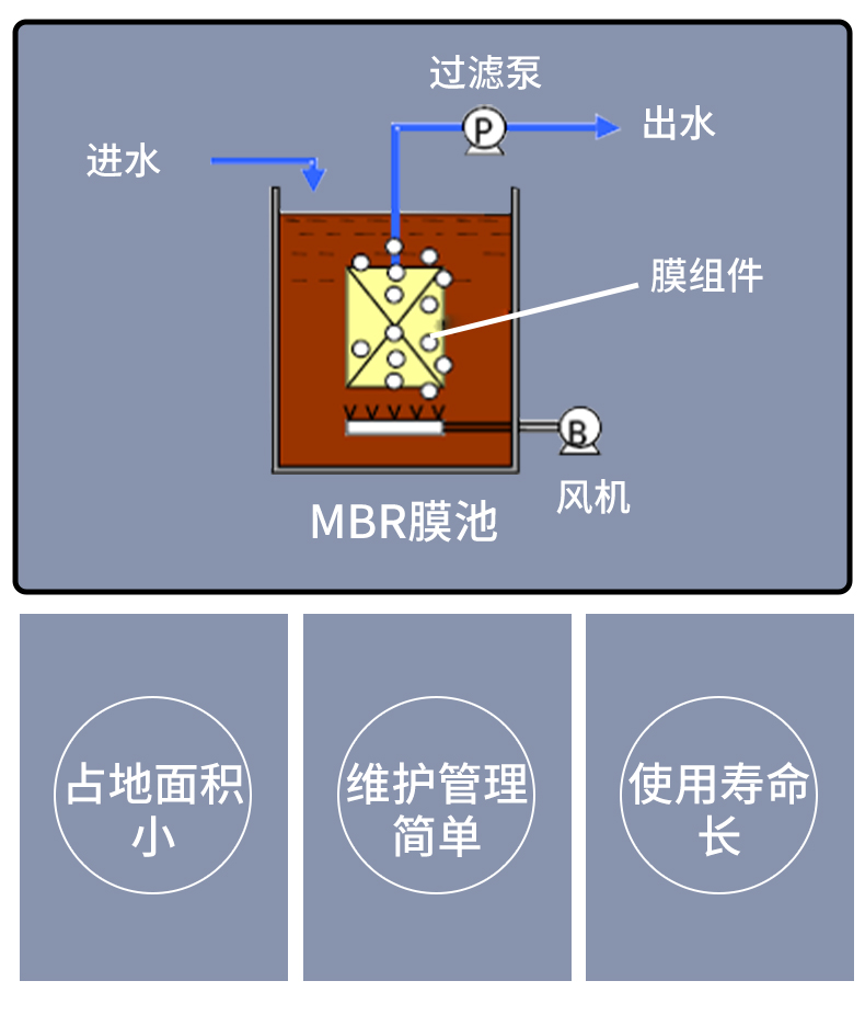 1688087503195722.jpg 5_05.jpg